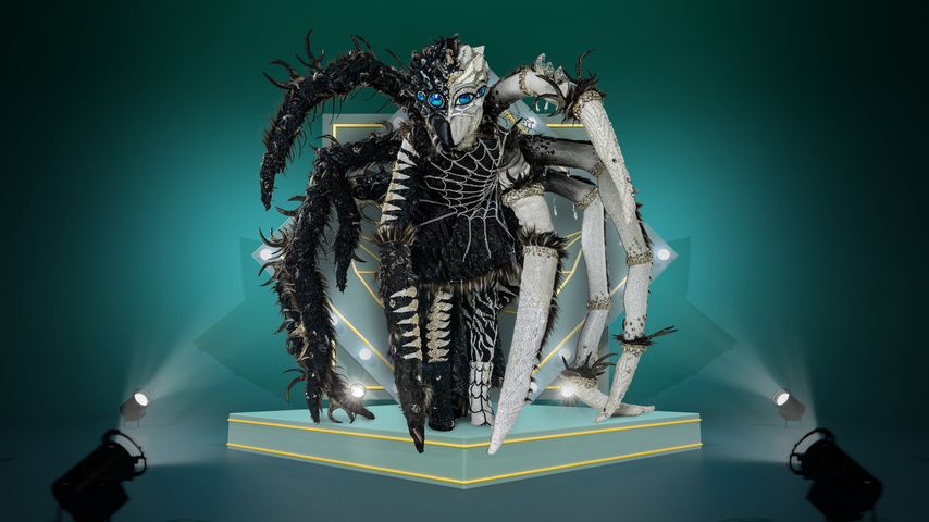 Die Diamantula bei "The Masked Singer"