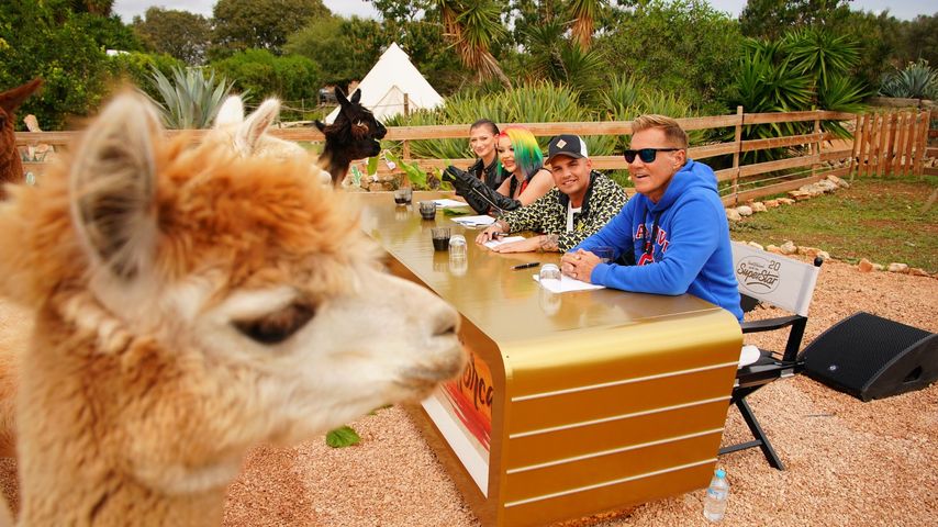 Camping-Recall: DSDS-Zuschauer bekommen Dschungelcamp-Vibes