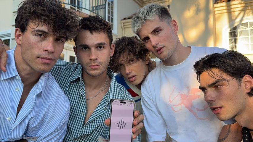Die Elevator Boys, Musiker
