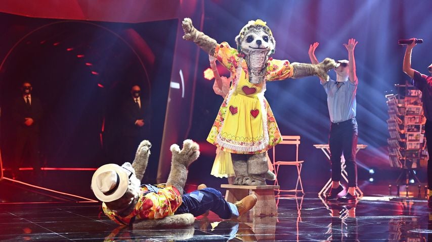 Die Erdmännchen bei "The Masked Singer"