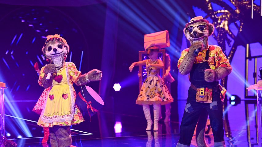Die Erdmännchen bei "The Masked Singer"