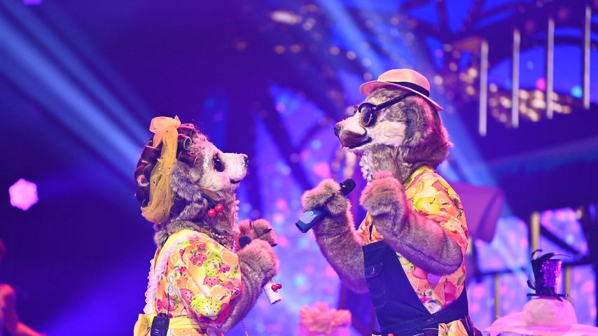 Die Erdmännchen bei "The Masked Singer"