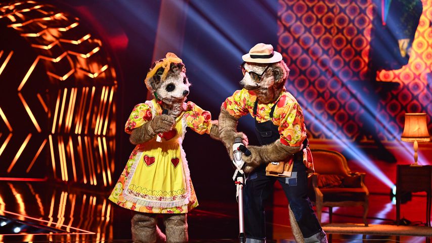 Die Erdmännchen bei "The Masked Singer"