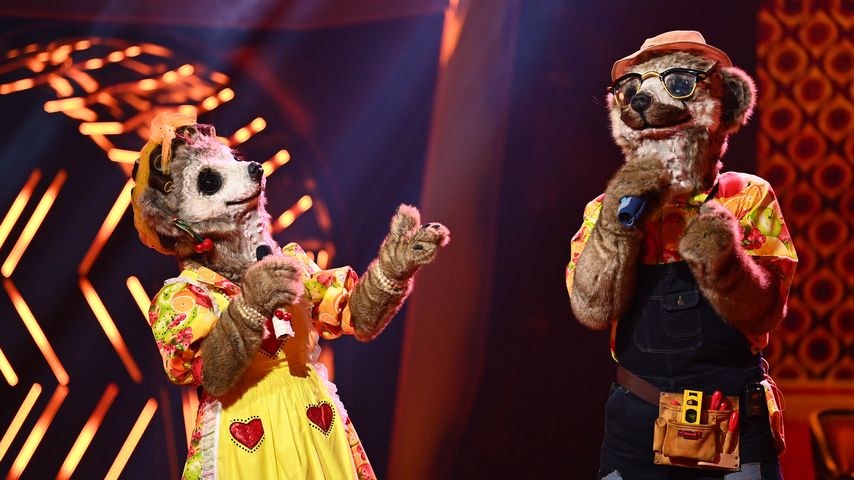Die Erdmännchen bei "The Masked Singer"