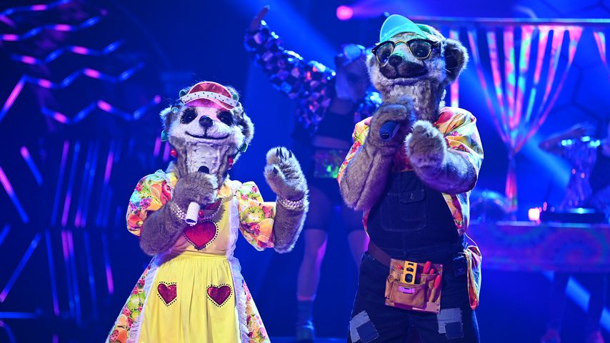 Die Erdmännchen bei "The Masked Singer"