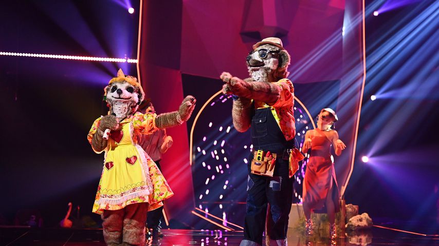 Die Erdmännchen bei "The Masked Singer"