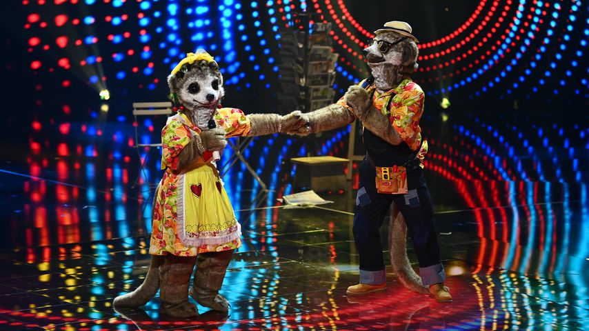 "The Masked Singer" – alle Indizien zu den Erdmännchen!