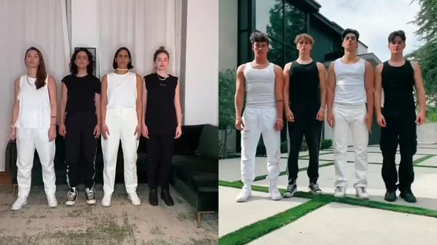 Fahrstuhlgirls: Sie machen den Elevator Boys Konkurrenz!