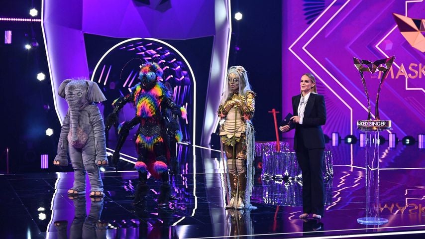 Die Finalisten von "The Masked Singer Austria" Staffel zwei