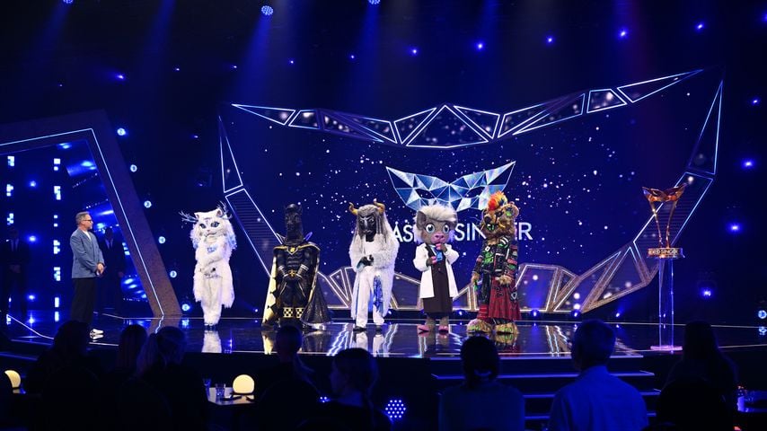 Finale: Diese Maske gewinnt "The Masked Singer" 2026
