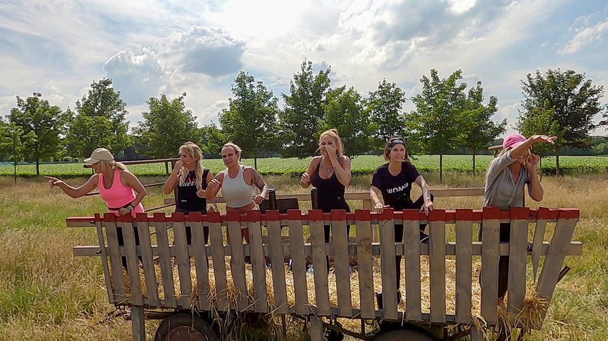 Die Frauen im "Sommerhaus der Stars" beim Spiel "Tierisch blind"