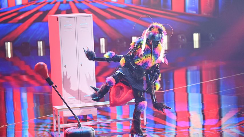 Die Gelse von "Masked Singer Austria"