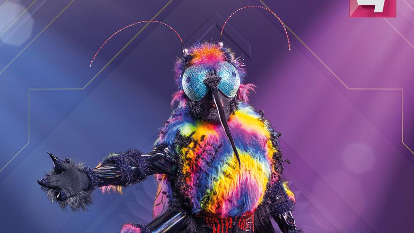 Gelse von "The Masked Singer Austria"