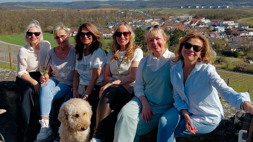 So viel Spaß hatten die "Golden Bachelor"-Ladys bei Reunion