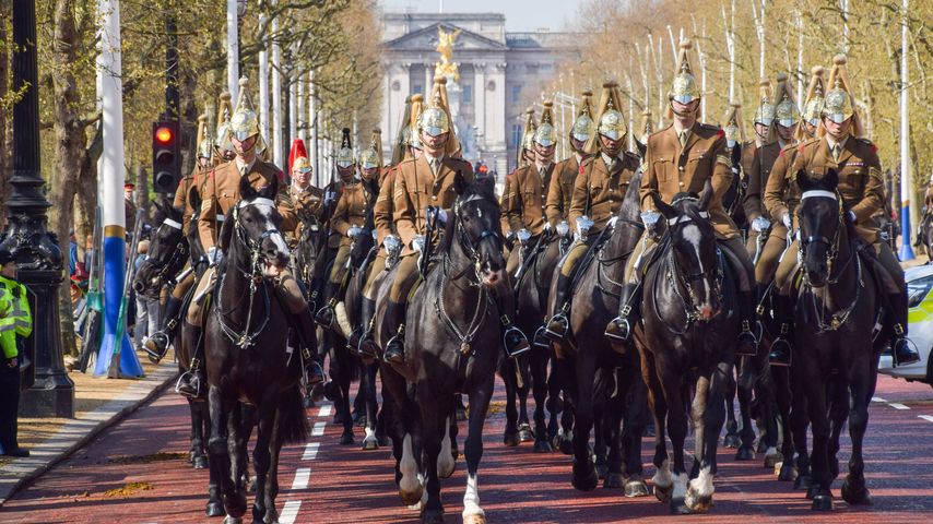 Die Household Cavalry bei den Proben für König Charles Krönung