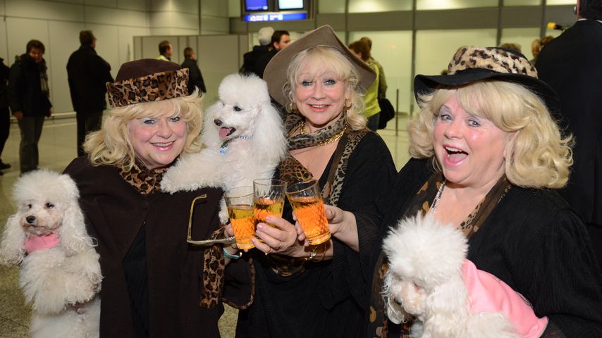 Die Jacob Sisters, 2011