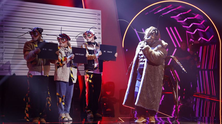 Die Kakerlake bei "The Masked Singer"