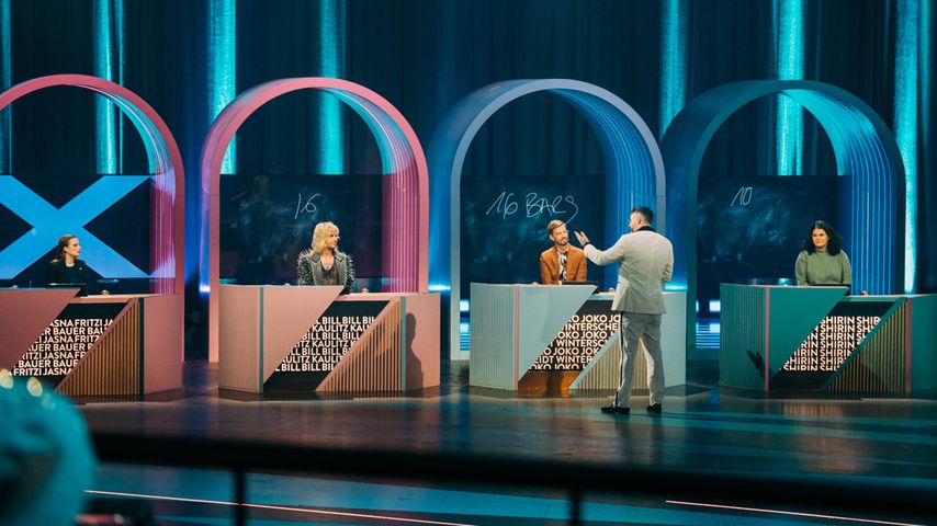 Die Kandidaten bei "Wer stiehlt mir die Show"