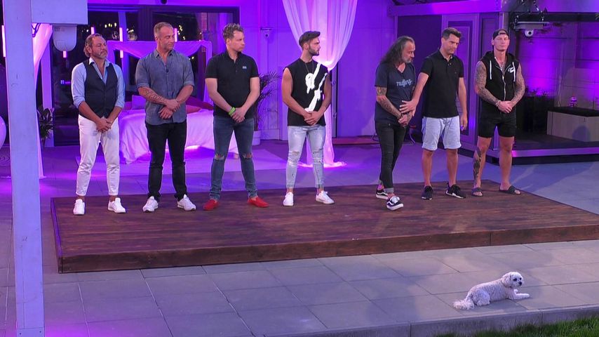 Der nächste Mann verlässt freiwillig "Coras House of Love"!