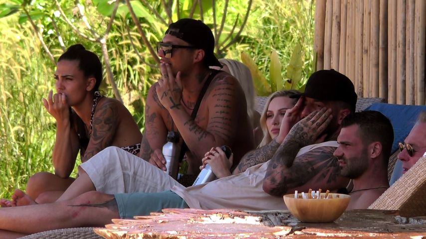 Die Kandidaten von "Kampf der Realitystars" 2022