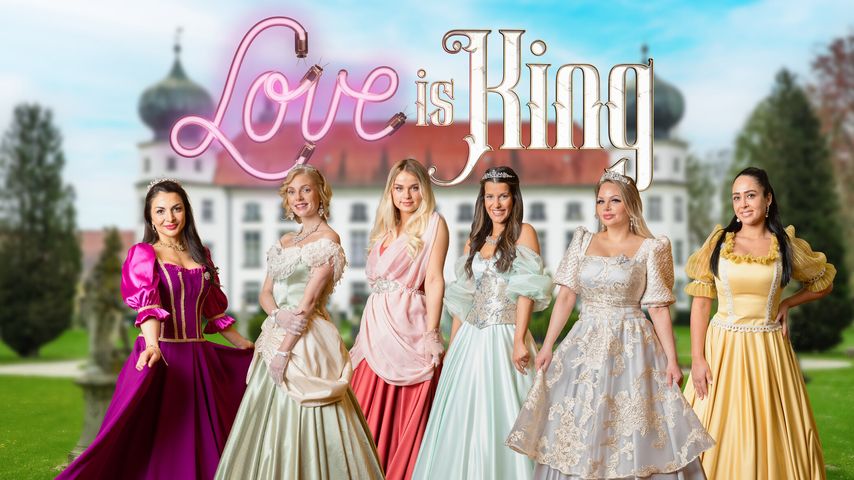 Die Kandidatinnen von "Love is King"