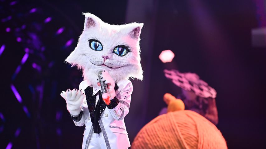 Die "The Masked Singer"-Katze