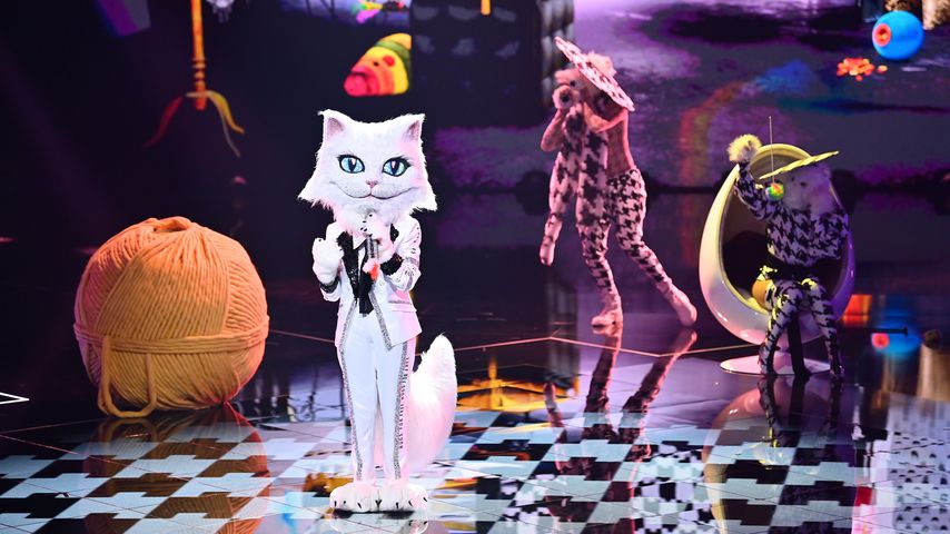 Die Katze bei "The Masked Singer"