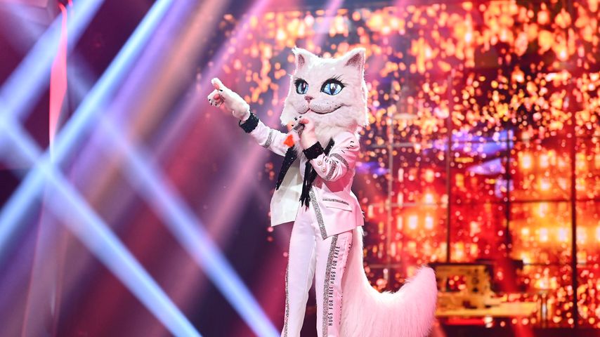 Wer ist die Katze bei "The Masked Singer"? Alle Indizien!