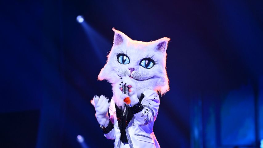 Die Katze bei "The Masked Singer"