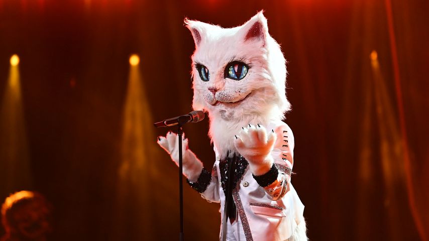Die Katze im "The Masked Singer"-Halbfinale