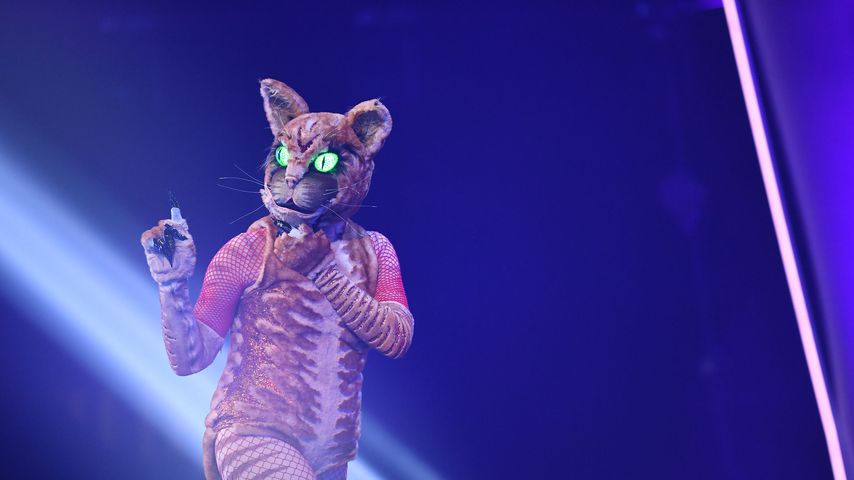 Die Katze von "The Masked Singer Austria"