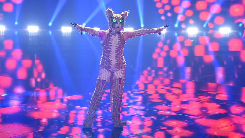 Die Katze von "The Masked Singer Austria"