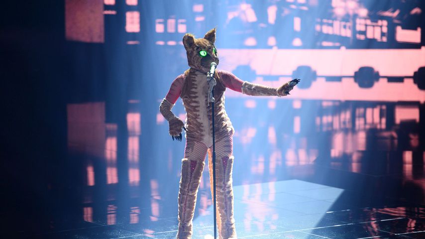 Die Katze von "The Masked Singer" Austria