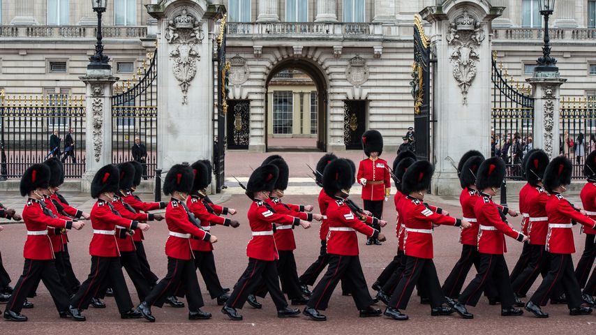 Die königliche Leibgarde im Mai 2016 in London