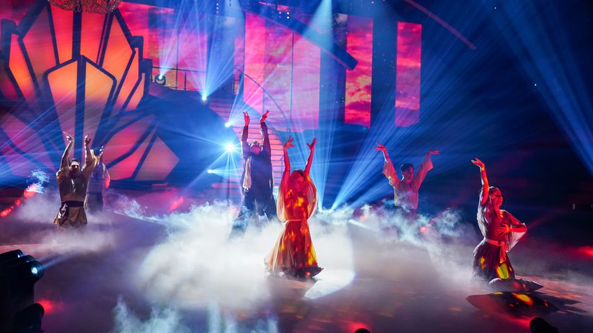 Die "Let's Dance"-Profitänzer