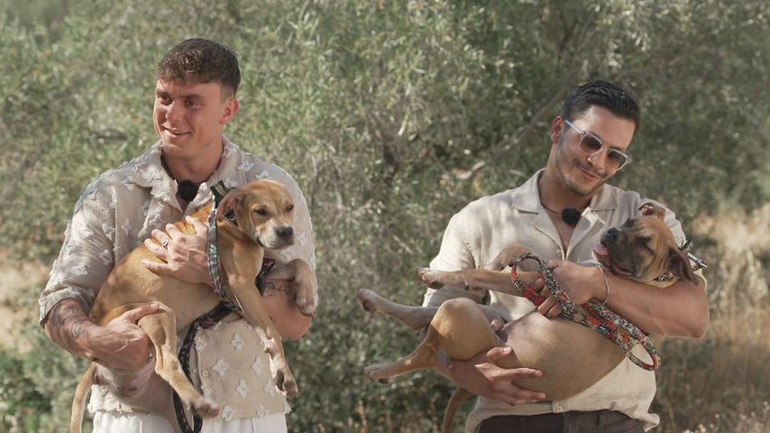 Die "Make Love, Fake Love"-Kandidaten Andi und Ray