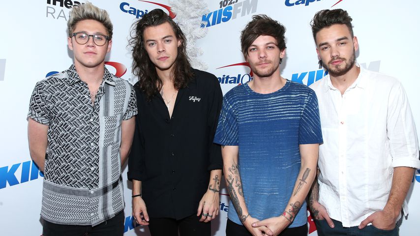 Die Boyband One Direction 2015