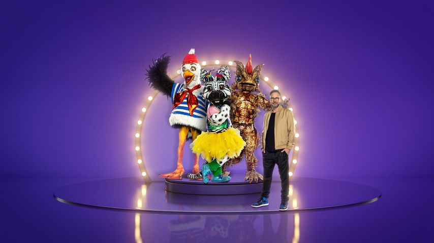 Diese Stars sind laut Voting bei "The Masked Singer" dabei!