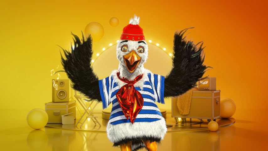 Die Möwe von "The Masked Singer"