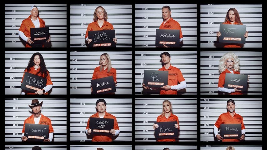 Die "Most Wanted"-Kandidaten 2026