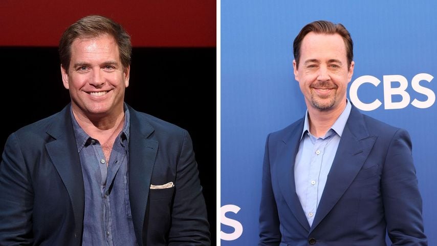 Collage: Die "Navy CIS"-Stars Michael Weatherly und Sean Murray posieren.