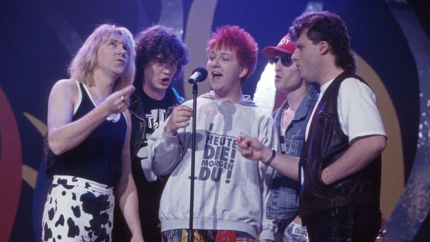 Die Prinzen, deutsche Musikgruppe