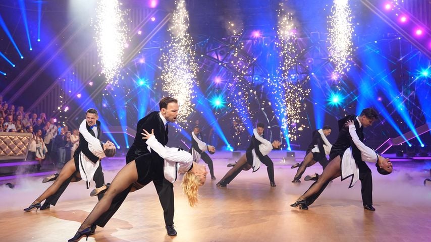 Die "Let's Dance"-Profitänzer