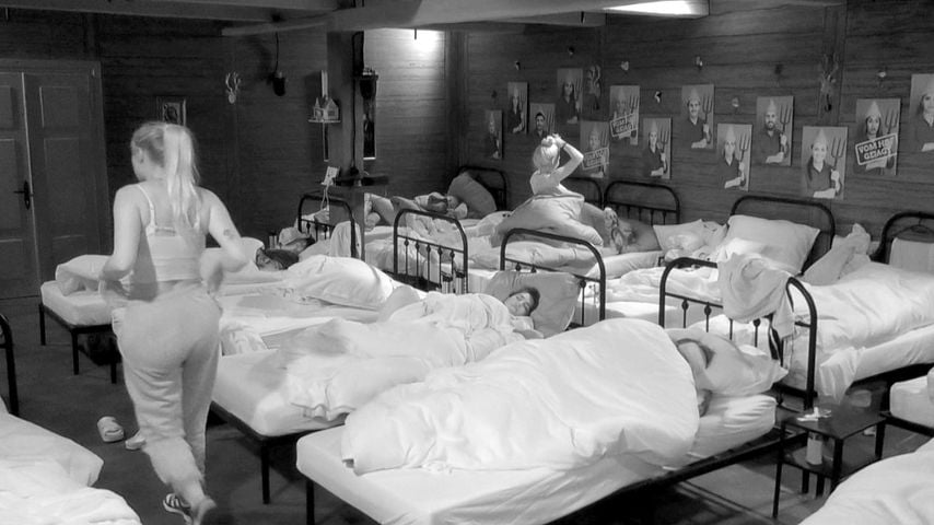 "Pervers": Tim und Emma haben vor anderen Promihof-Stars Sex