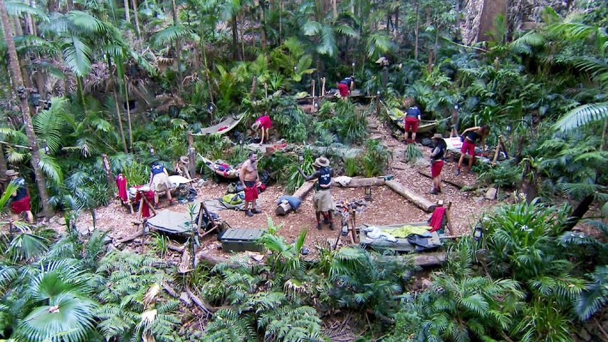 Die Promis im Dschungelcamp