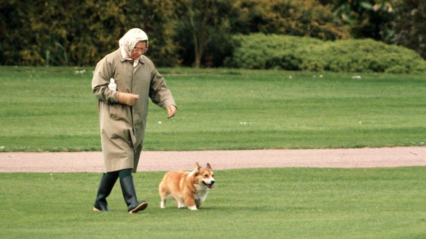 Die Queen mit ihrem Corgi