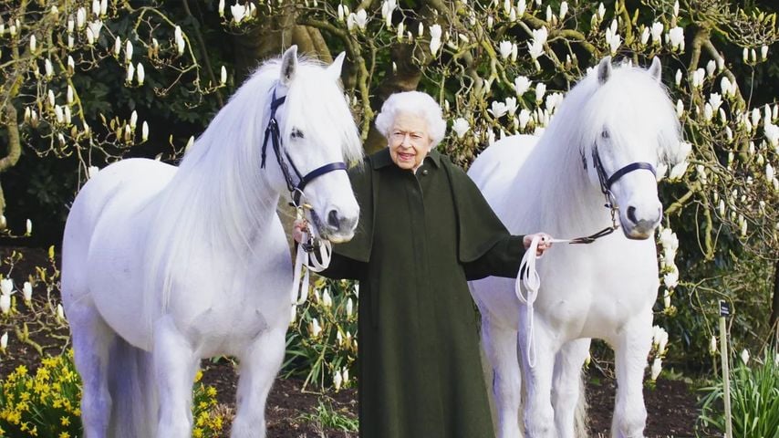 Vor Geburtstag: Palast veröffentlicht neues Foto der Queen