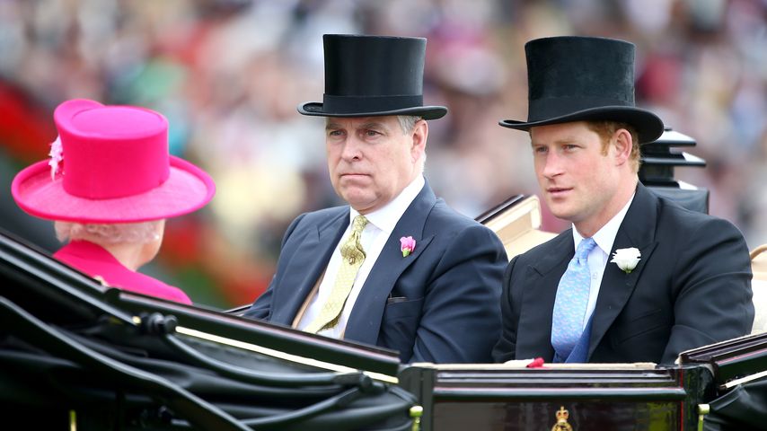 Prinz Andrew und Harry: Keine Vertretung für König Charles!