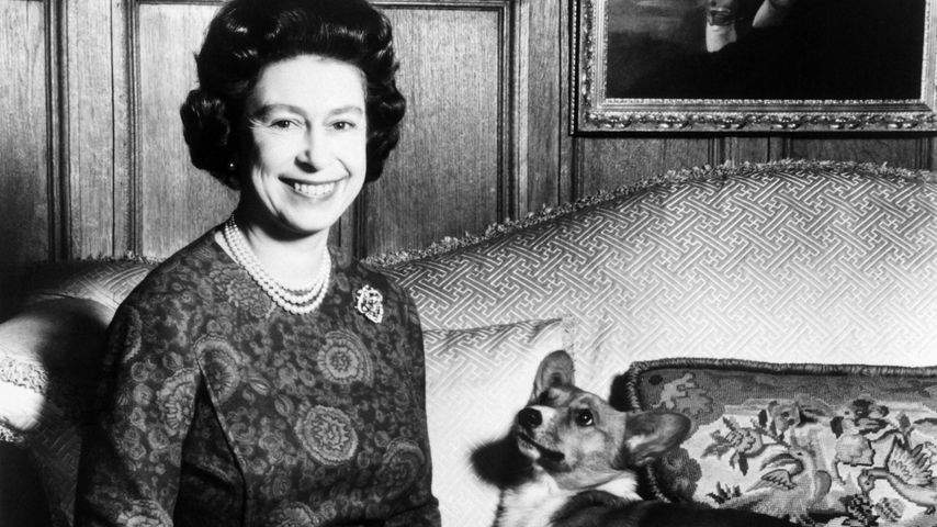 Hundeliebe: Die schönsten Bilder der Queen mit Vierbeinern