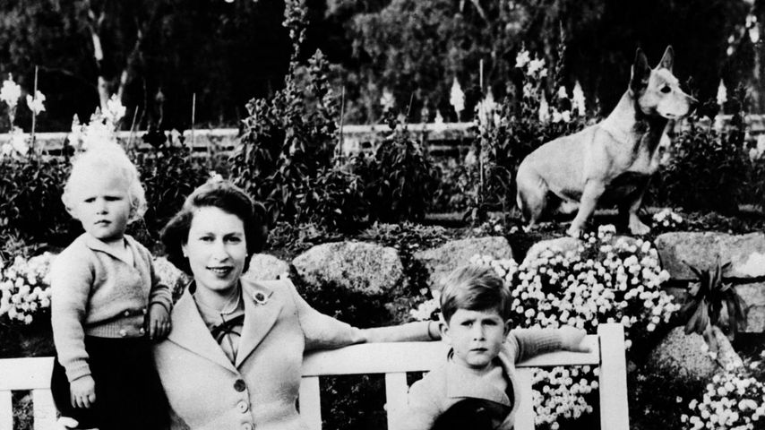 Die Queen mit ihren Kindern Prinzessin Anne und Prinz Charles und einem Corgi
